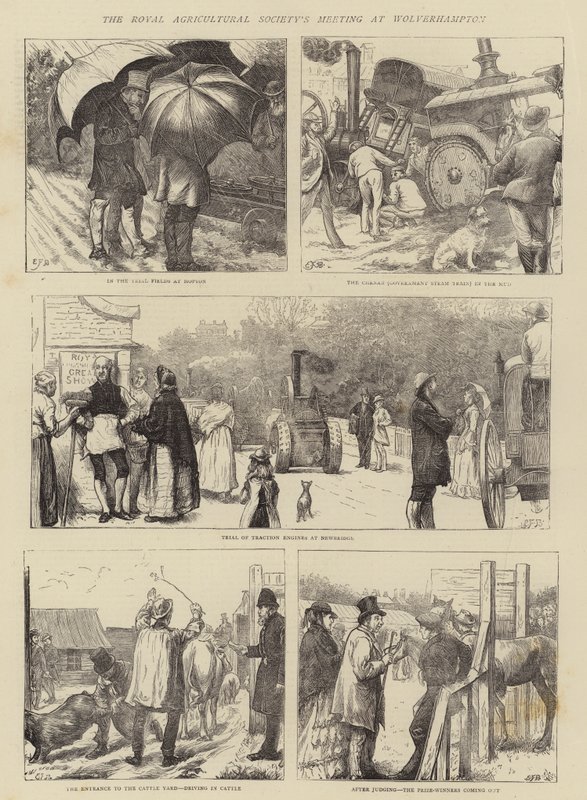 A Királyi Mezőgazdasági Társaság találkozója Wolverhamptonban alkotó: Edward Frederick Brewtnall