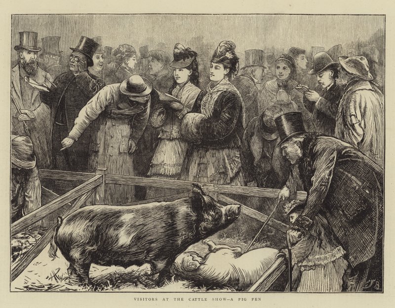 Látogatók a Szarvasmarha-kiállításon, disznótor alkotó: Edward Frederick Brewtnall