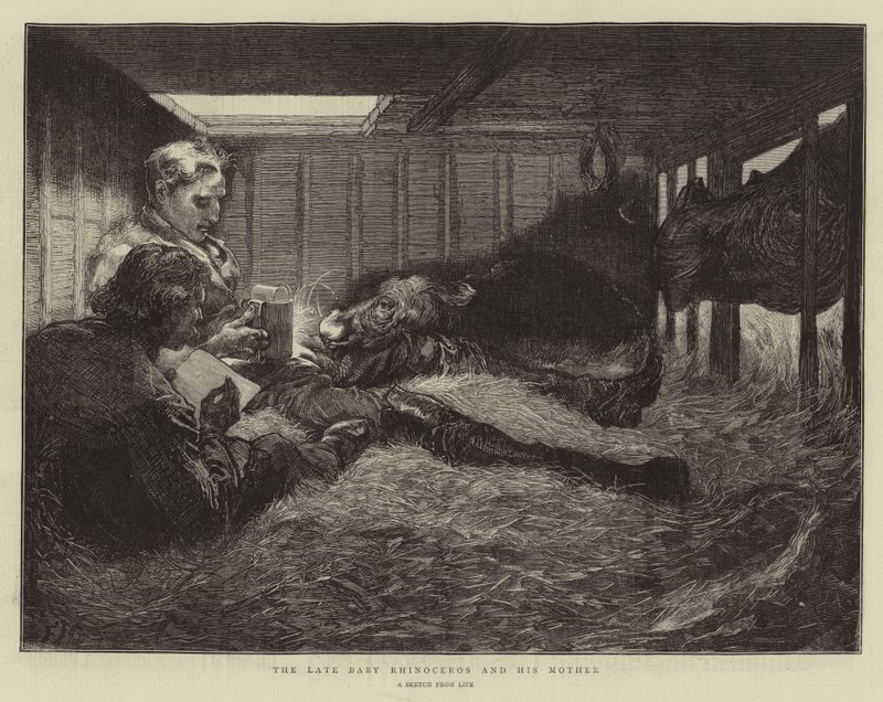 A néhai orrszarvú baba és az anyja alkotó: Edward John Gregory