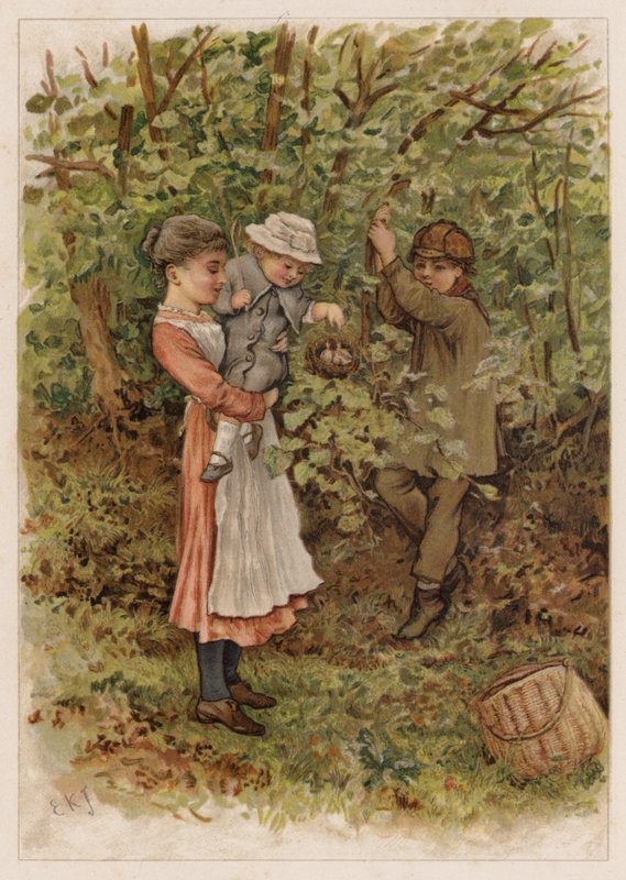 Flapsy és Pecksy alkotó: Edward Killingworth Johnson