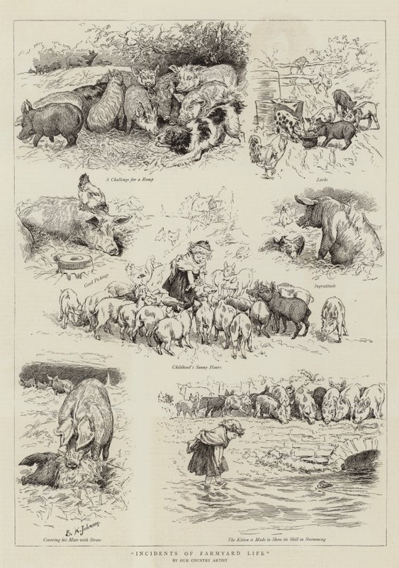 A tanyasi élet eseményei alkotó: Edward Killingworth Johnson