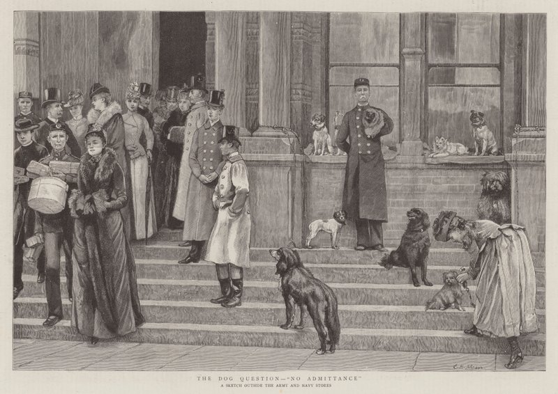 A kutyakérdés, belépés nélkül alkotó: Edward Killingworth Johnson