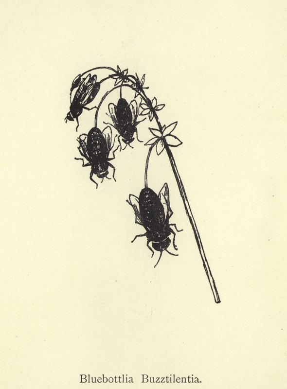 Bluebottlia Buzztilentia alkotó: Edward Lear
