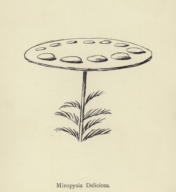 Finom Minspysia alkotó: Edward Lear