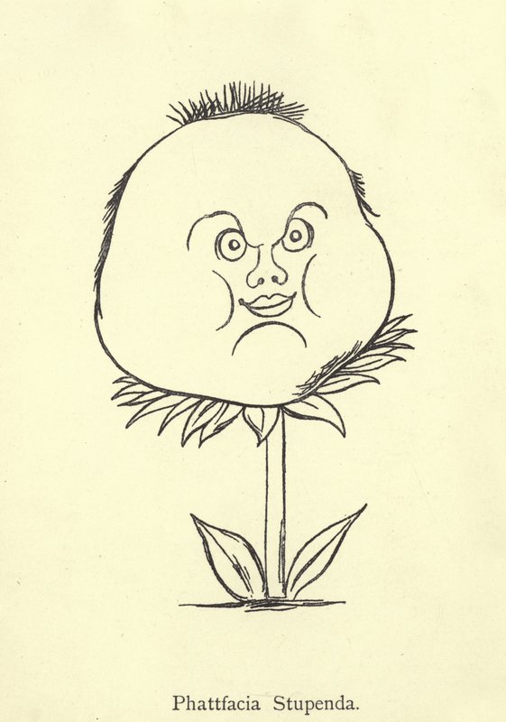Nagyszerű Phattfacia alkotó: Edward Lear