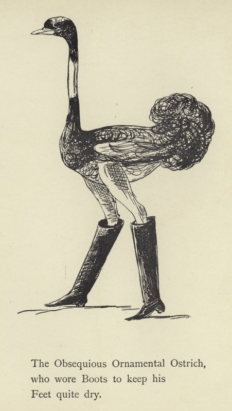 Az obsequious díszes strucc alkotó: Edward Lear
