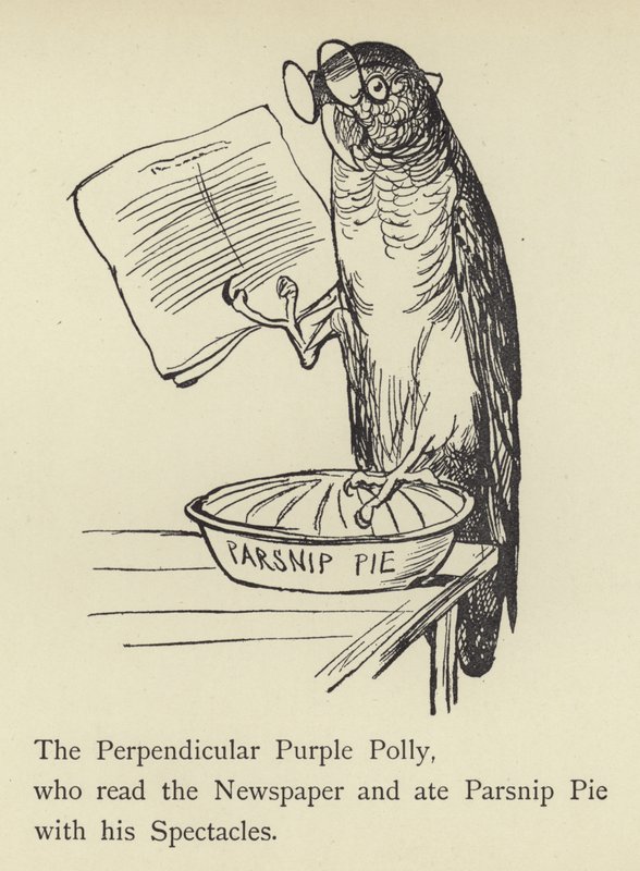 A merőleges lila Polly alkotó: Edward Lear