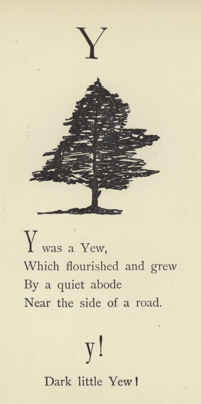 Az Y betű alkotó: Edward Lear