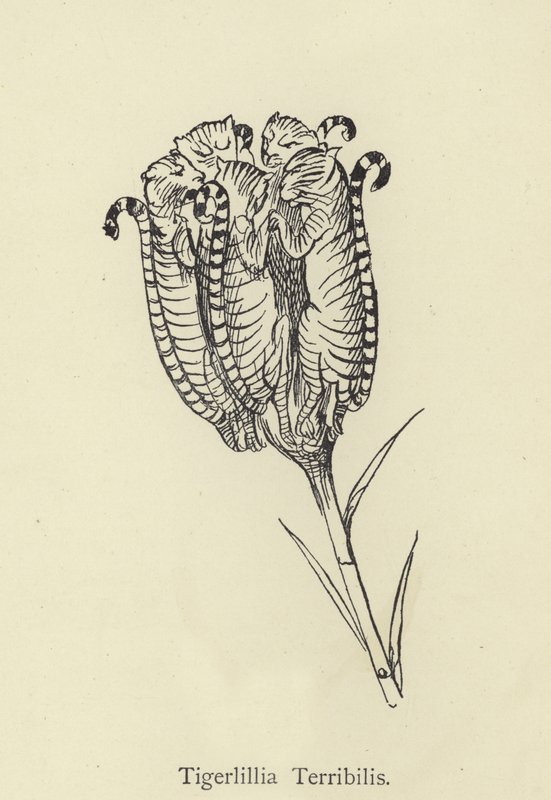 Tigerllilla Terribilis alkotó: Edward Lear