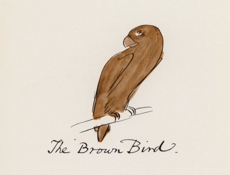 Edward Lear, A madárkönyv: A barna madár (színes litho) alkotó: Edward (after) Lear