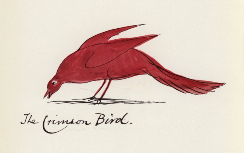 Edward Lear, A madárkönyv: A bíbor madár (színes litho) alkotó: Edward (after) Lear