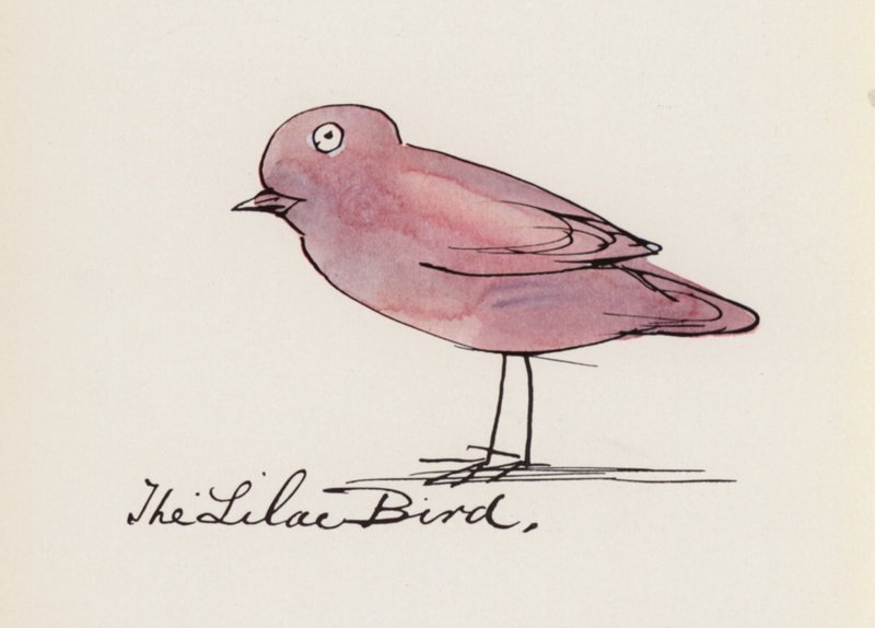 Edward Lear, A madárkönyv: A lila madár (színes litho) alkotó: Edward (after) Lear