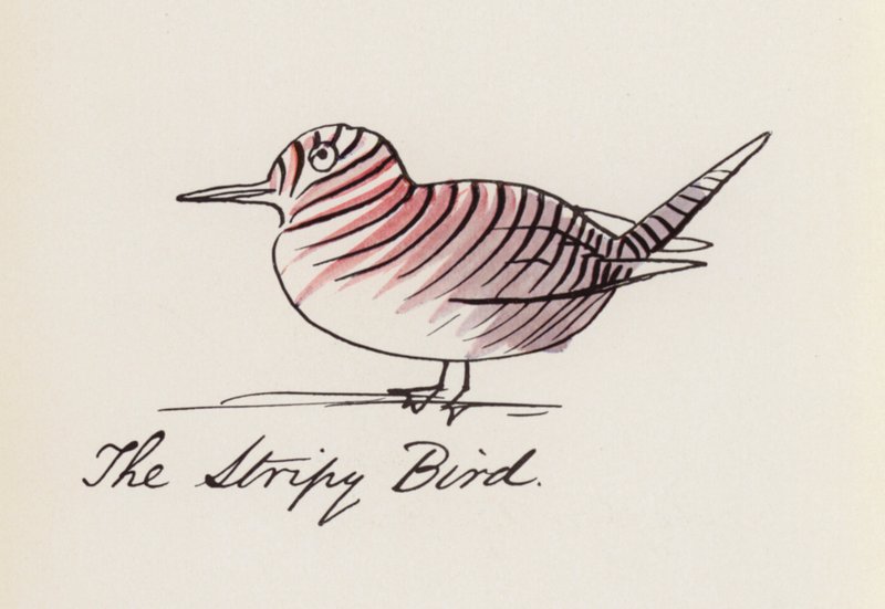 Edward Lear, A madárkönyv: A csíkos madár (színes litho) alkotó: Edward (after) Lear