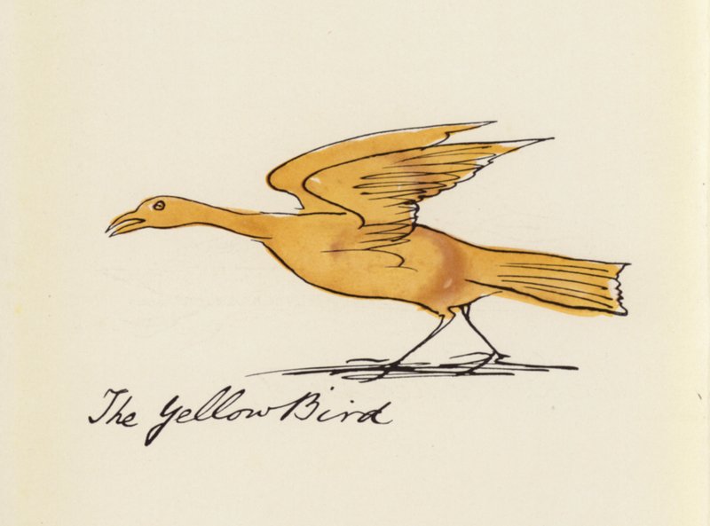 Edward Lear, A madárkönyv: A sárga madár (színes litho) alkotó: Edward (after) Lear