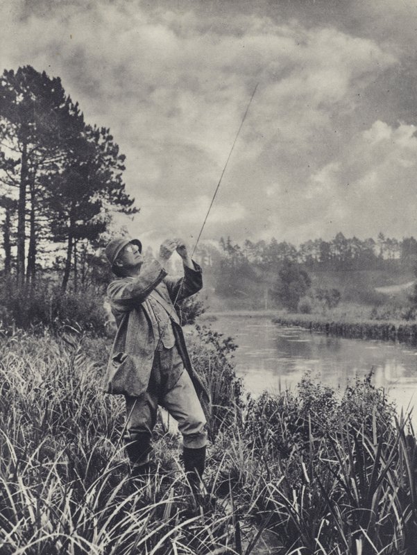 A Knotty Point (fekete-fehér fotó) alkotó: Edward Alfred Barton