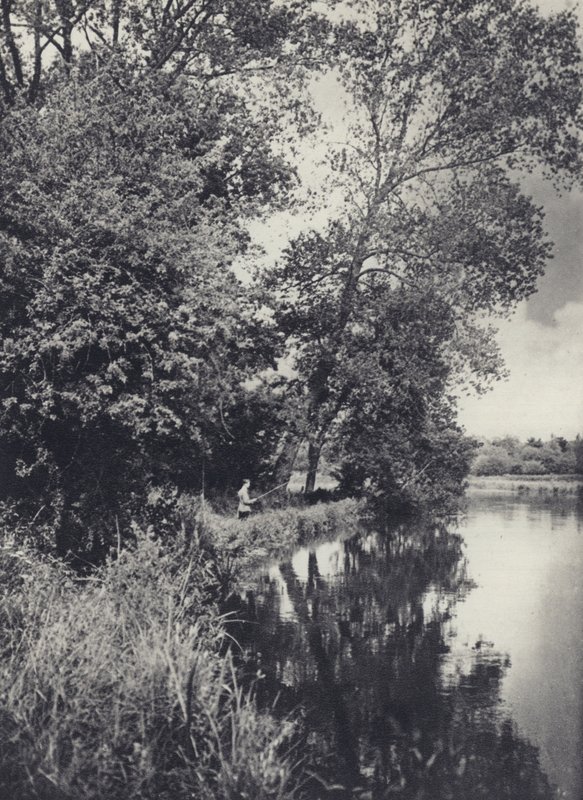 A nagy nyárfák alatt a Houghton-vízen (fekete-fehér fotó) alkotó: Edward Alfred Barton
