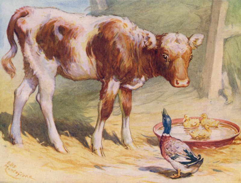 Borjú és kacsa (színes litó) alkotó: Edward Brice Montefiore