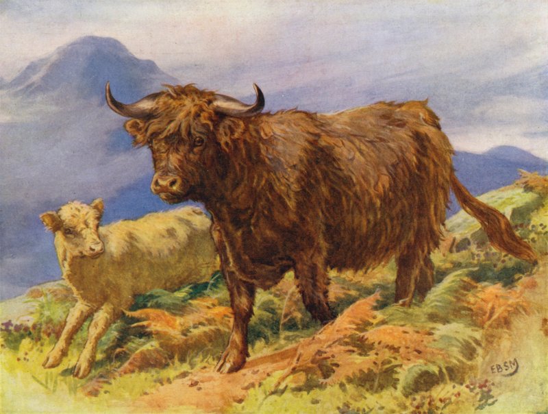 Felvidéki tehén és borjú (színes litho) alkotó: Edward Brice Montefiore