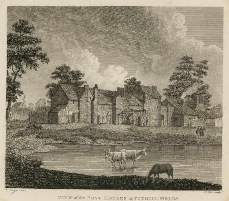 Kilátás a kártevő házakra a Tothill Fields-ben, Londonban alkotó: Edward Dayes