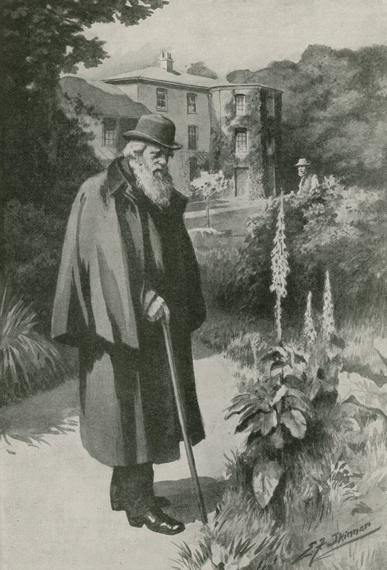 Charles Darwin a Down House-i kertjében (litográfia) alkotó: Edward Frederick Skinner