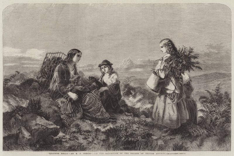Heather Bells alkotó: Edward John Cobbett