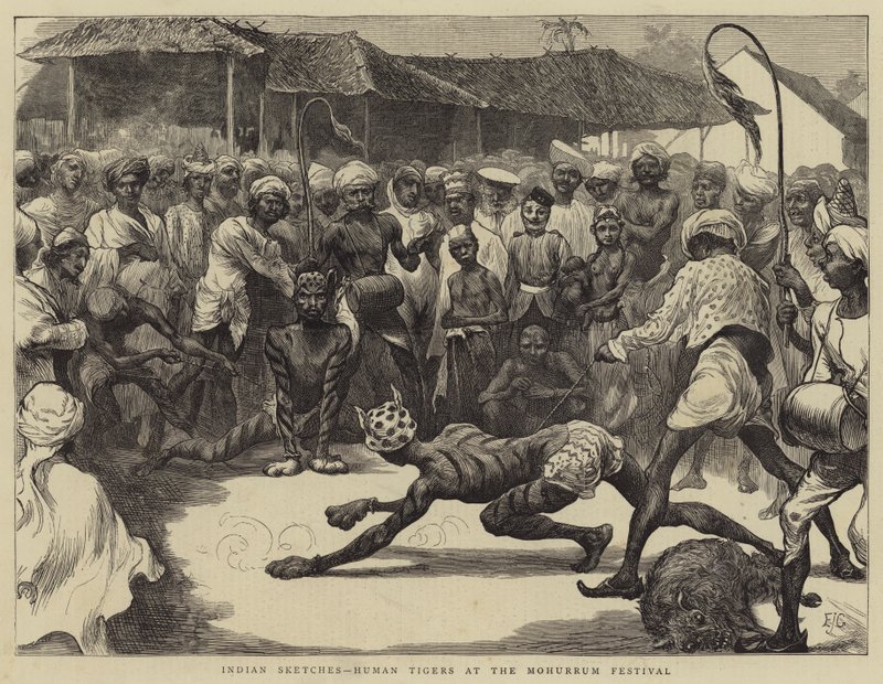 Indiai vázlatok, emberi tigrisek a Muharram fesztiválon alkotó: Edward John Gregory