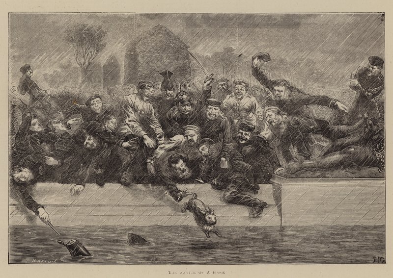 Egy nyúl szortírozása alkotó: Edward John Gregory