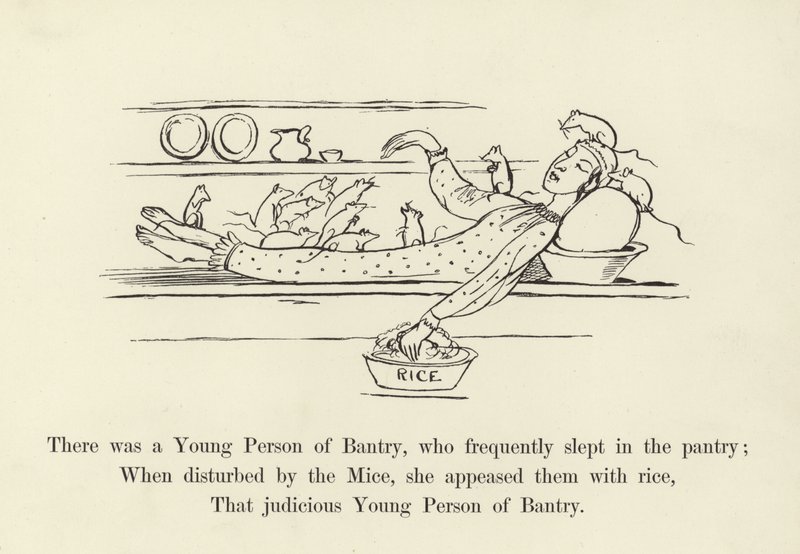 Volt egy fiatal Bantryban, aki gyakran aludt a kamrában alkotó: Edward Lear