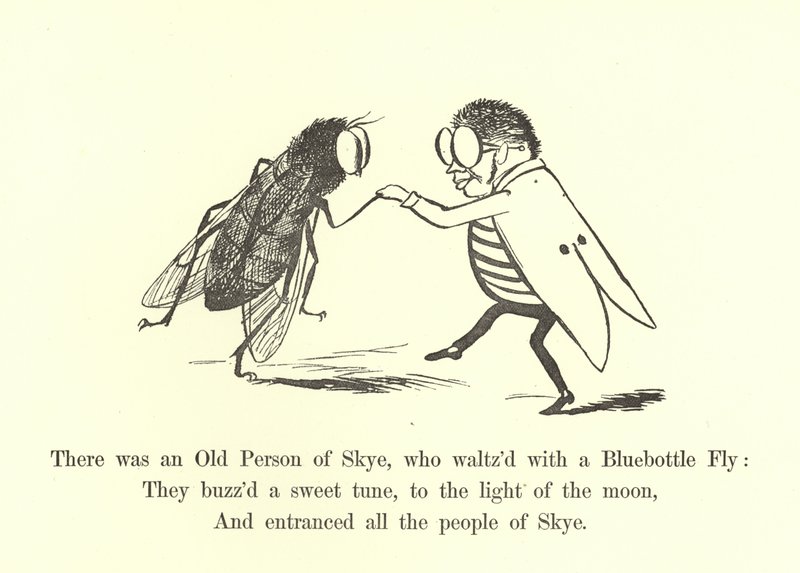 Volt Skye öreg embere, aki egy Bluebottle Flyvel keringőzött alkotó: Edward Lear
