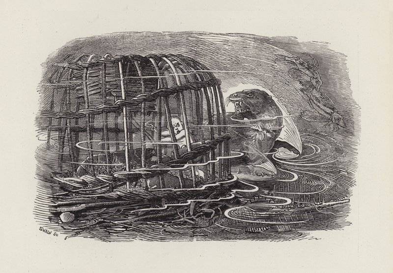 Illusztráció: Charles Kingsley: The Water-Babies (metszet) alkotó: Edward Linley (after) Sambourne