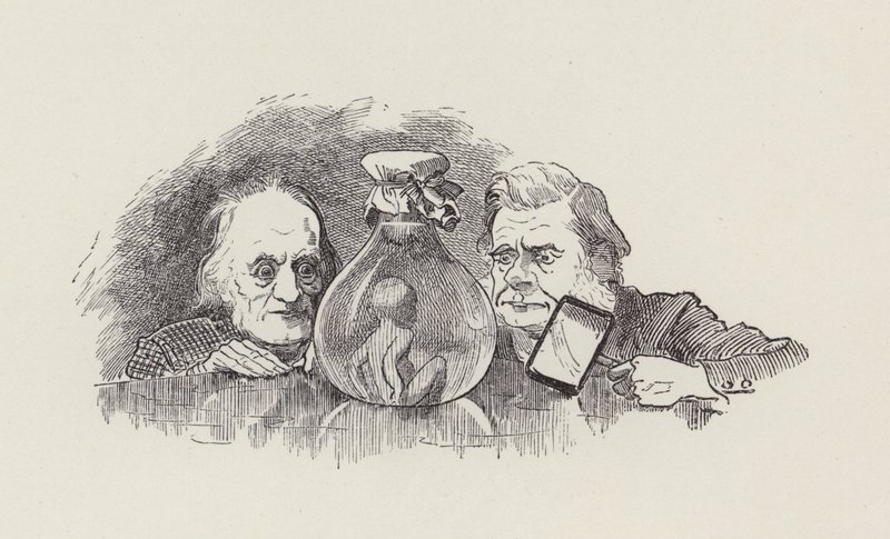 Illusztráció: Charles Kingsley: The Water-Babies (metszet) alkotó: Edward Linley (after) Sambourne