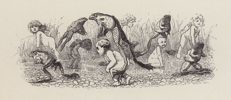 Illusztráció: Charles Kingsley: The Water-Babies (metszet) alkotó: Edward Linley (after) Sambourne