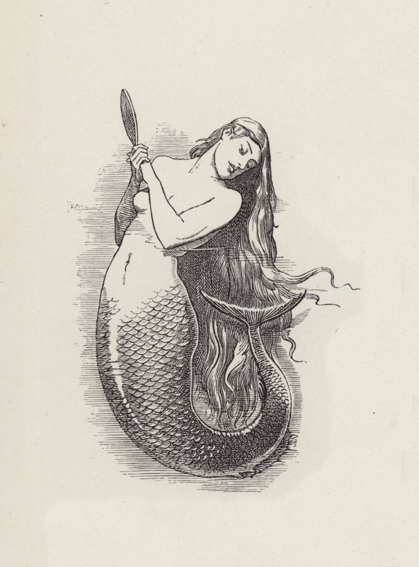 Illusztráció: Charles Kingsley: The Water-Babies (metszet) alkotó: Edward Linley (after) Sambourne
