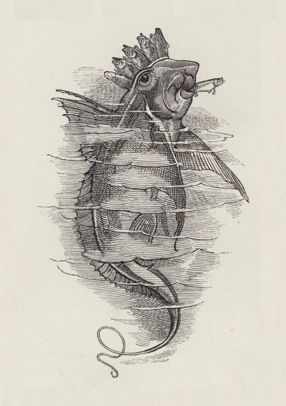 Illusztráció: Charles Kingsley: The Water-Babies (metszet) alkotó: Edward Linley (after) Sambourne
