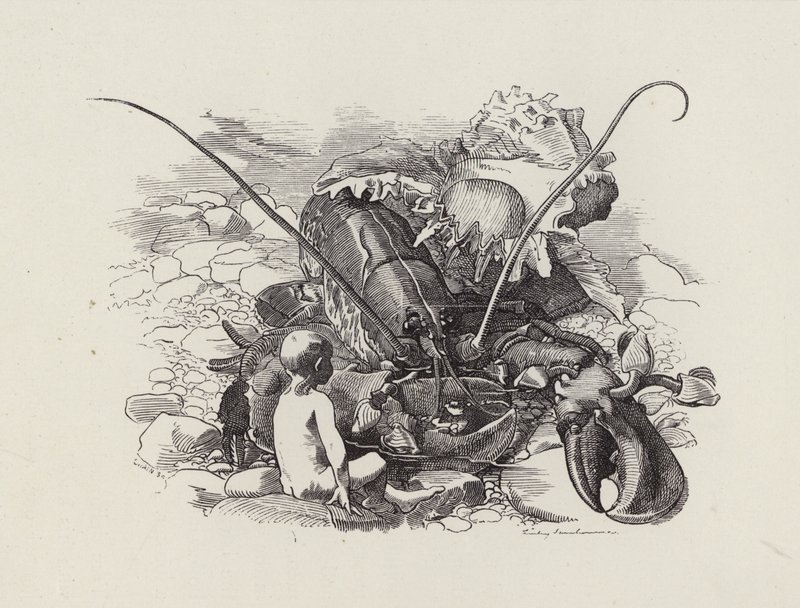 Illusztráció: Charles Kingsley: The Water-Babies (metszet) alkotó: Edward Linley (after) Sambourne