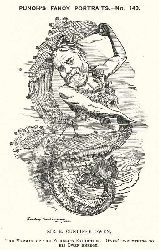 Punch rajzfilm: Philip Cunliffe-Owen, brit kiállításszervező és a londoni South Kensington Múzeum igazgatója (metszet) alkotó: Edward Linley (after) Sambourne