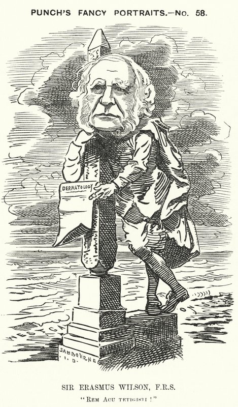 Punch rajzfilm: Sir Erasmus Wilson, angol sebész és bőrgyógyász (metszet) alkotó: Edward Linley (after) Sambourne