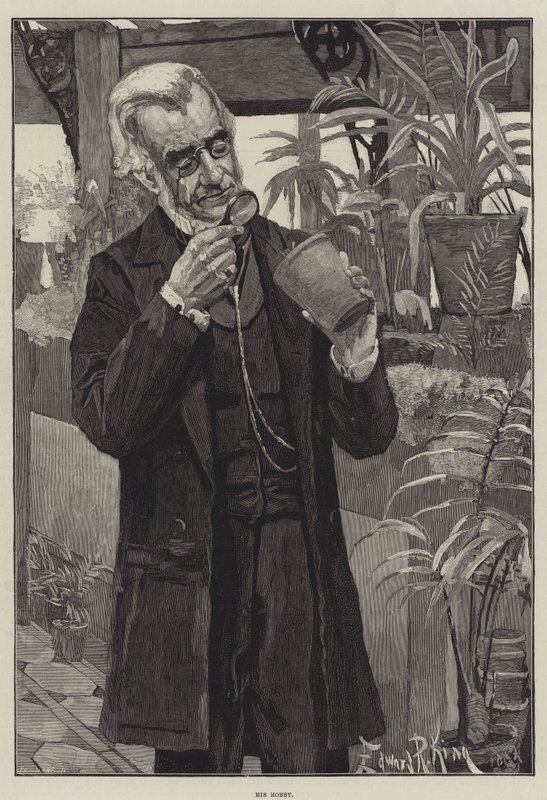 Hobbija alkotó: Edward R. King