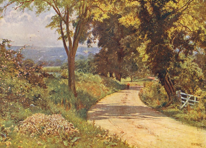 Az én utam (színes litográfia) alkotó: Edward Wilkins Waite