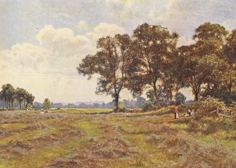 A levegő illatos volt a feldobott és a napon szárított fű illatától (színes litográfia). alkotó: Edward Wilkins Waite