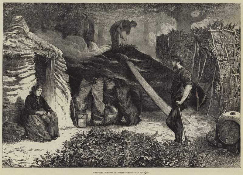Szénégetők Epping Forestben alkotó: Edwin Buckman