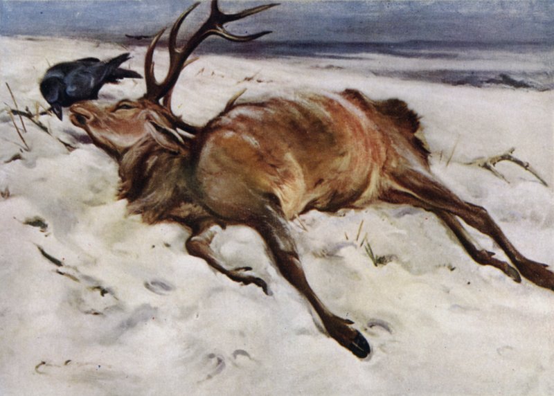 A döglött szarvas alkotó: Edwin John Alexander