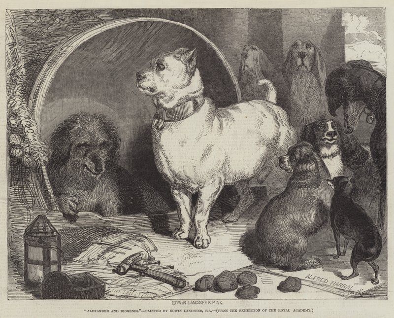 Sándor és Diogenész alkotó: Edwin Landseer