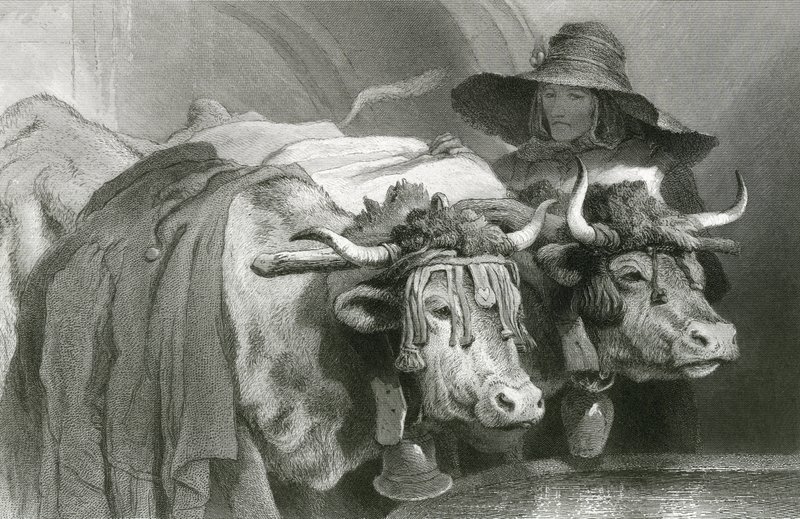 Ökrök a tanknál, Genf (metszet) alkotó: Edwin (after) Landseer