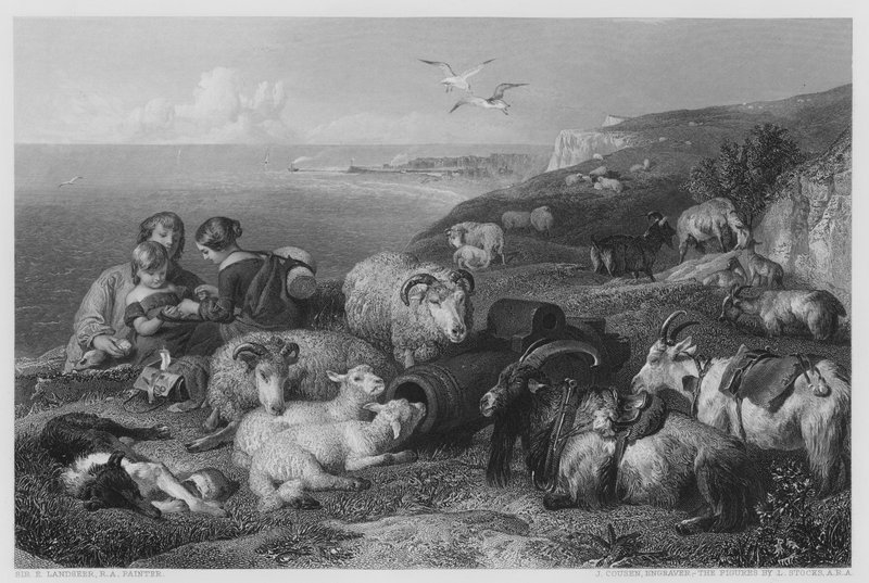 Béke, a Vernon Galéria képéről (metszet) alkotó: Edwin (after) Landseer
