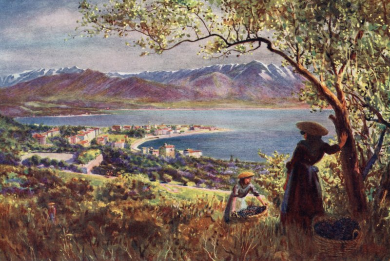 Korzika: Ajaccio általános képe (színes fotó) alkotó: Edwin Arthur Norbury