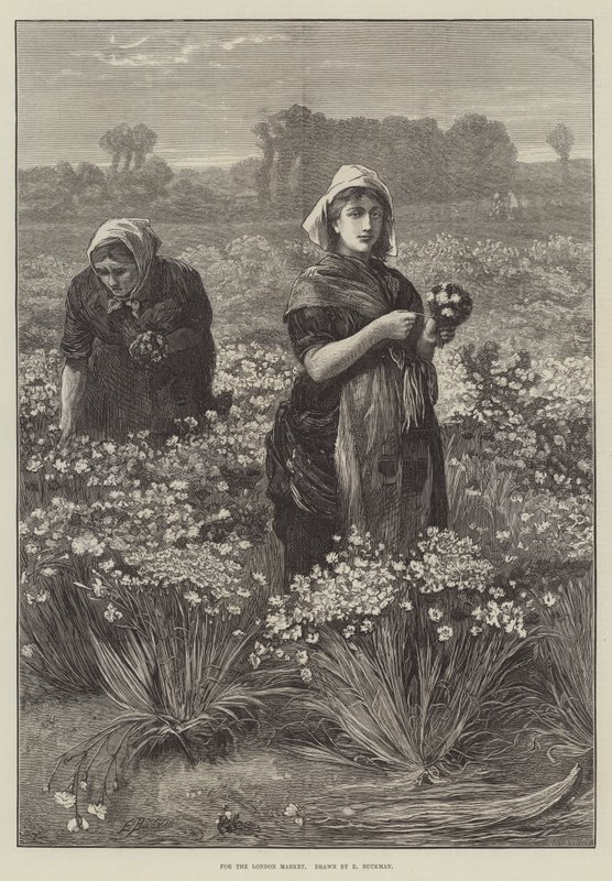 A londoni piac számára (metszet) alkotó: Edwin Buckman