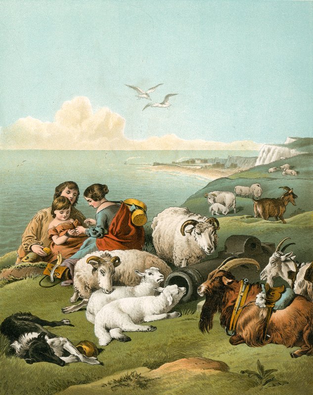 Gyermekek játszanak a juhokkal és kecskékkel a fehér sziklákon alkotó: Edwin Landseer