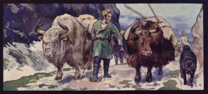 Egy tibeti jak vonat (színes tagok) alkotó: Edwin Noble