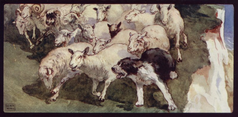 Bobtailed juhászkutya és nyáj a sziklákon (színes litho) alkotó: Edwin Noble